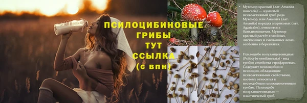 MDMA Горнозаводск