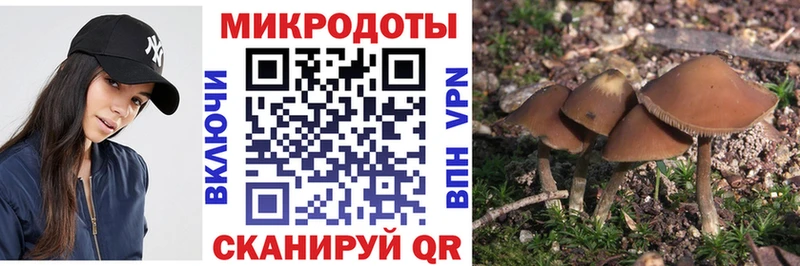 Псилоцибиновые грибы Psilocybine cubensis  магазин    Елизово 